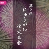 【2023年夏|西条市】第2回にゅうがわ花火大会