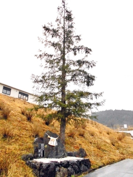 恋し野のあじさい園近くにある筒香嘉智さんの記念碑