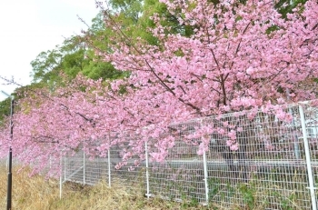 穴場スポット