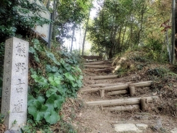 藤白神社から住宅地の間を抜け、すぐに熊野古道へ。<br>今も古道歩きを体験できます。