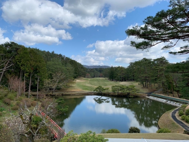 池越え１番ホールの上から