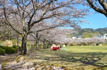 大好きな公園！