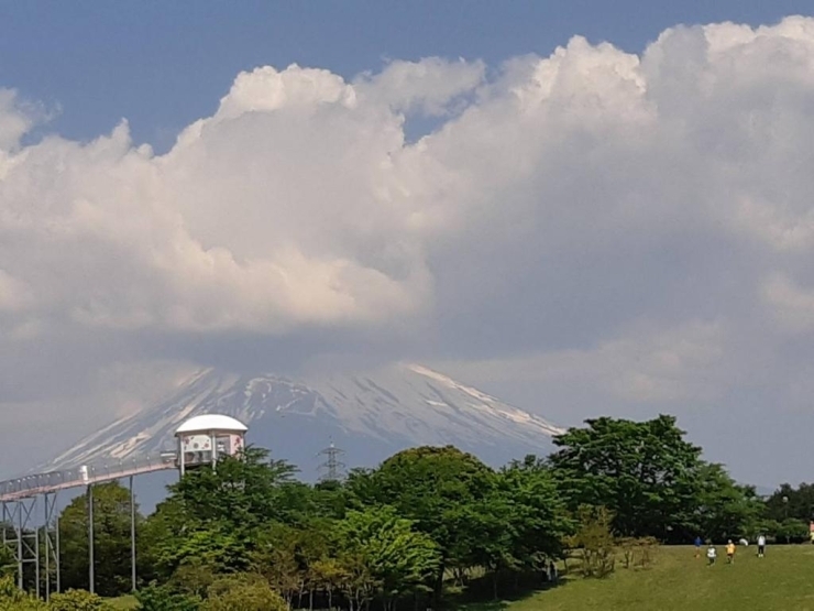 大会当日の富士山　ちょっと曇っていました。