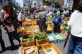 野菜販売