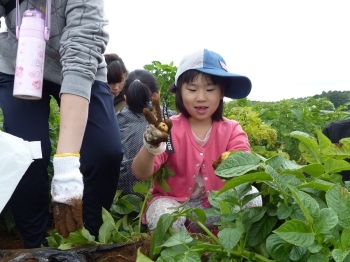 ほら！大きなのと小さいの見つけたよー！