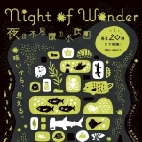 夏の特別イベント「Night of Wonder～夜の不思議の水族園～」