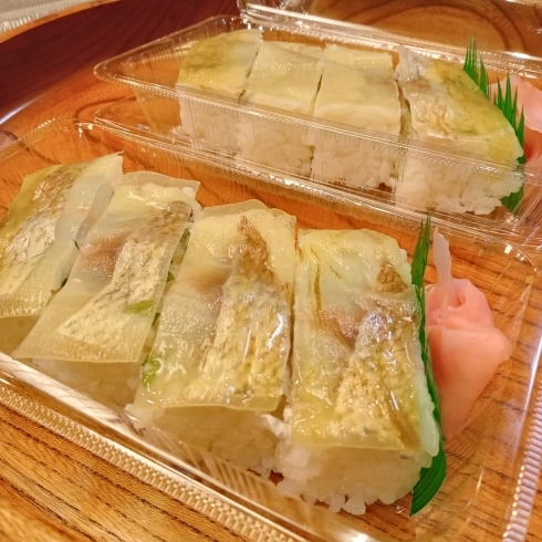 鯛木の芽寿司「本日のイチオシ商品」