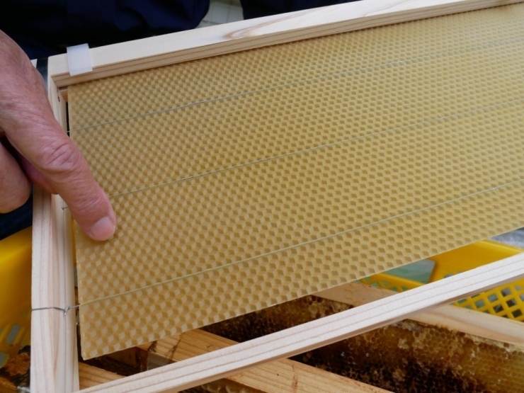 ミツバチの巣に入れる巣礎枠<br>※巣礎…蜜ろうから造られたシート状のもの