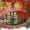 ■紅葉スポット■ 横浜市金沢区【称名寺】