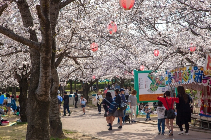 明石公園は人がいっぱい