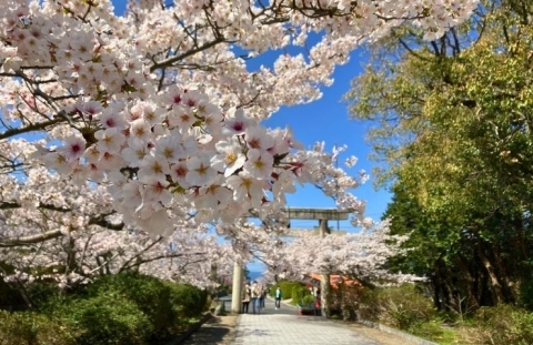 山陰鳥取県西伯郡大山町　名和公園　名和神社　鳥取県西部