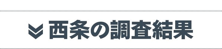 西条の調査結果