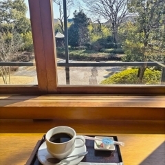 じゅんさい池緑地の梅が見ごろ！　お寺にある「カフェテラス回向院」に行ってきました