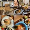 【泉佐野市】発酵料理 ~ひなたに咲く~