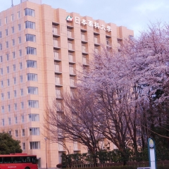 サクラの花にまつわる零れ話