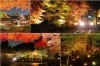 紅葉特集 in 左京区・北区