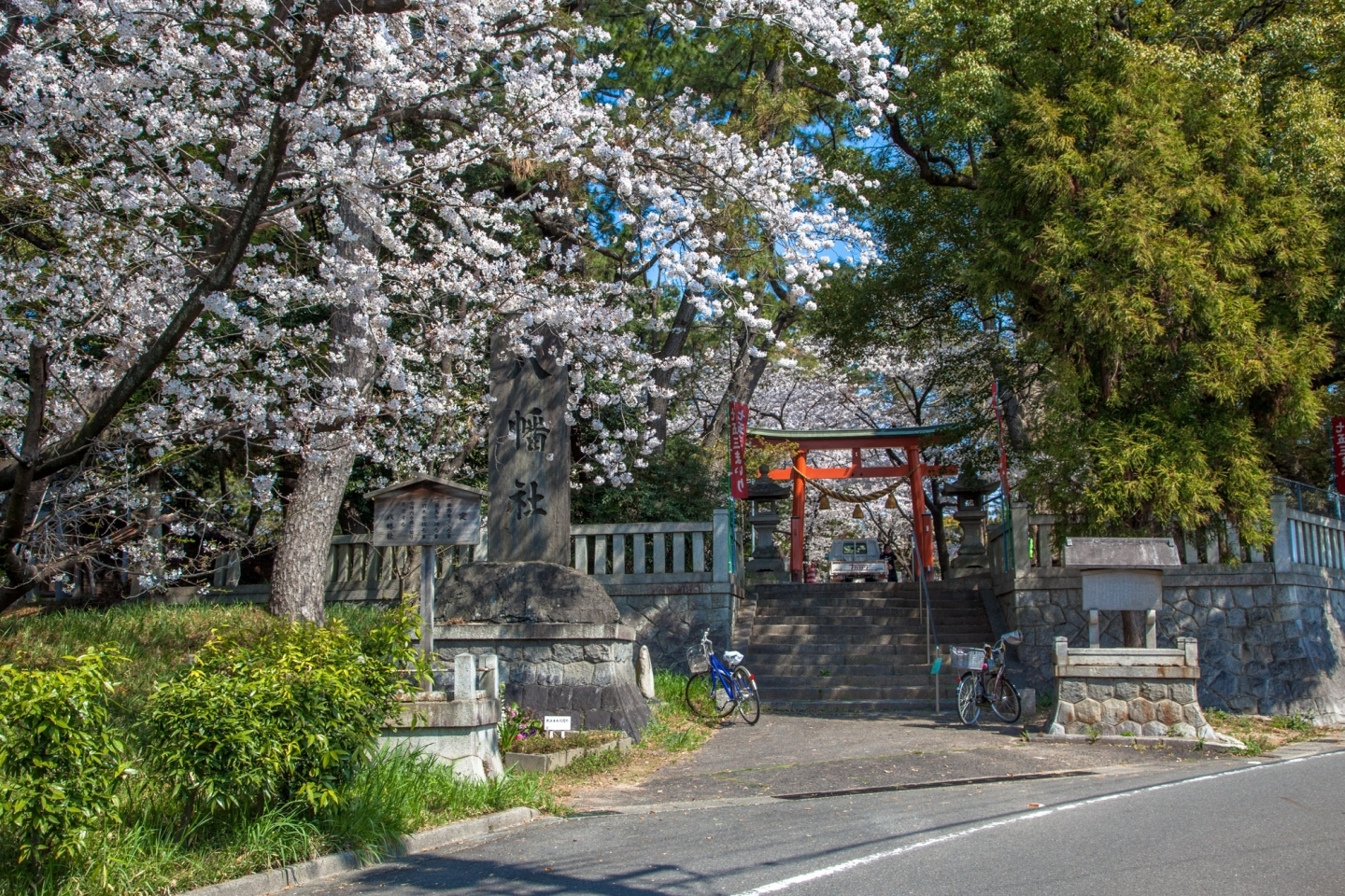 吉浜八幡社の入り口に桜があります