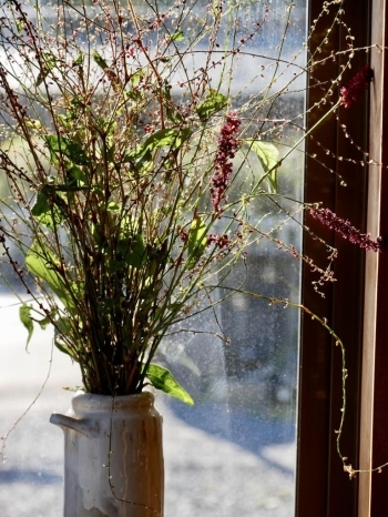 窓際に何気なく飾られた季節の草花がお店の雰囲気にピッタリ