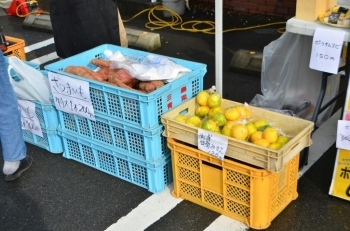 野菜とみかん販売も！