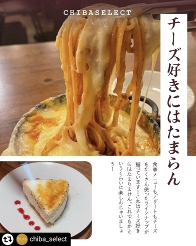 「【千葉駅、千葉中央駅】ゆったりチーズ料理を楽しめるお店。チーズチーズワーカー千葉店」