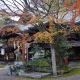 京都　紅葉穴場スポット　粟田神社