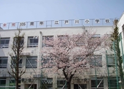 「江戸川小学校」英語活動や食育等これからの時代に通用する子どもを育てる小学校