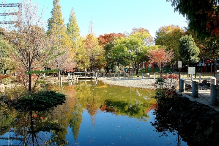 「落合公園」池のある癒しの空間