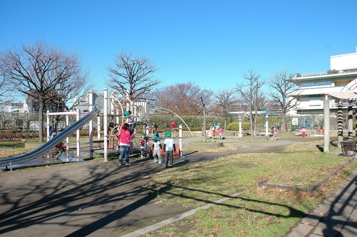 「落合中央公園」野球場やテニスコートも併設