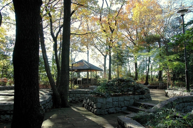 「おとめ山公園」「落合秘境」と呼ばれるほどの自然