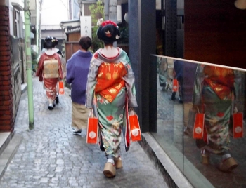 路地や坂の向こうで、思いがけず芸者さんに会えるかもしれません。