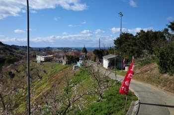 少し坂をのぼってなんとなく振り返ると・・・あ、海が見えるー！