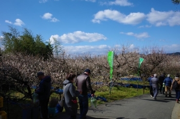 ゆっくりと坂道をくだって、約1時間で3キロのコースを歩き終わりました。