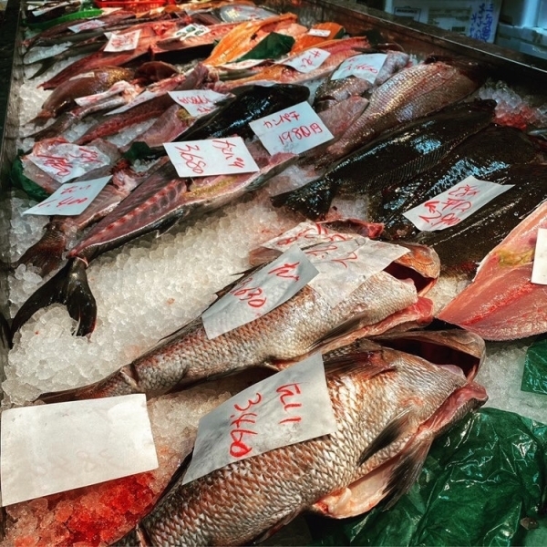 その時期に美味しい魚を食べれますよ!