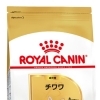 RC BHN チワワ 成犬 1.5kg
