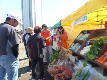 行方市産の春野菜は、お昼頃までには無くなってしまう事も…