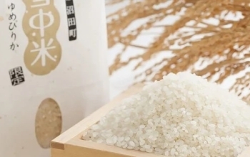 【1010-08】令和元年産　雪中米（ゆめぴりか）【2kg×２袋計4kg】