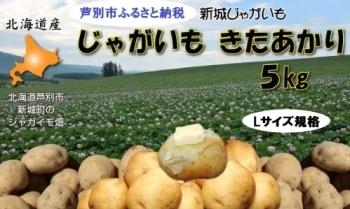 芦別市新城産じゃがいも（きたあかり 5㎏）