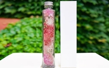 お花屋さんの手作りハーバリウム＊pink【花季】