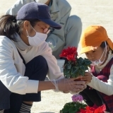 かわいいお花☆　元気に育て！