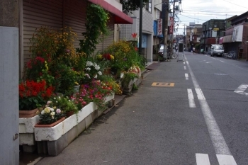 通りの店先？に、満開の花壇。<br>このシャッターが開く日はあるのか…！？