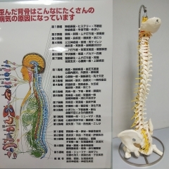 自律神経ケアカイロプラクティック