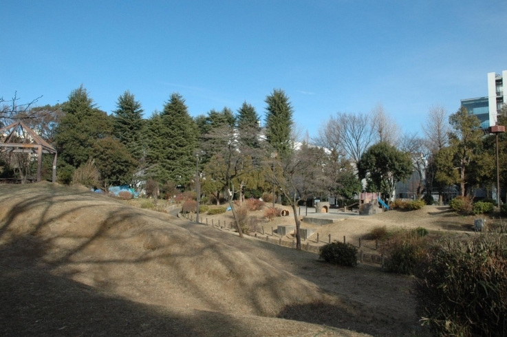 「戸山公園」山手線内で一番高い「箱根山」を有する公園です。