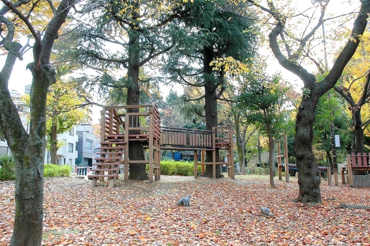 「北柏木公園」木製アスレチック風複合遊具がある広い公園