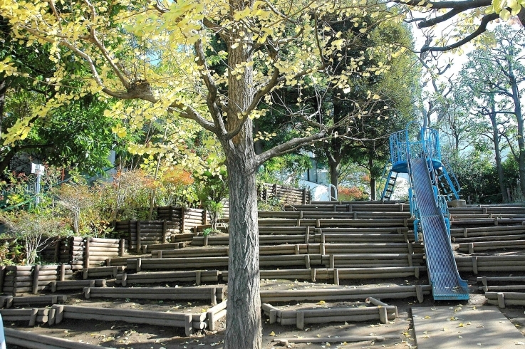 「北新宿公園」テラスの周辺にレトロな雰囲気が漂う公園