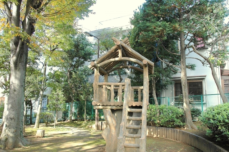「葛ヶ谷公園」丸太風ツリーハウスがある公園