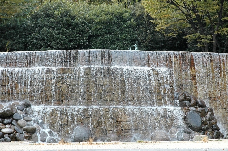 「新宿中央公園」区立公園最大面積を誇るオールマイティな公園