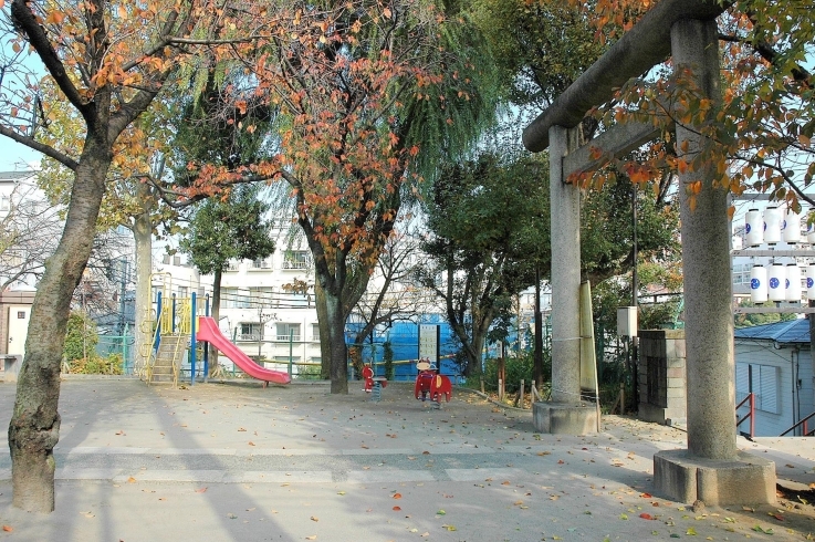 「須賀公園」「須賀神社」の境内の中にある公園