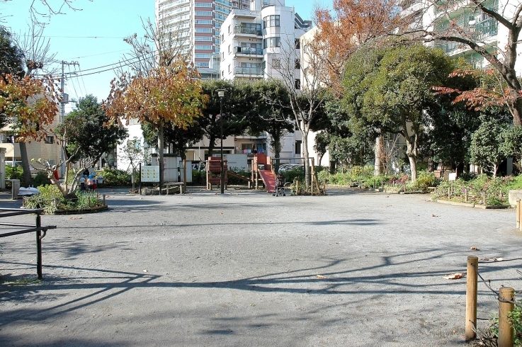 「大東橋公園」子どもは遊具を、大人は健康遊具を楽しめる公園