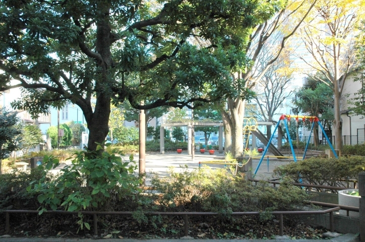 「角筈公園」遊具がゆったりと配置された公園