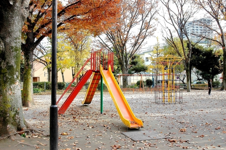 「西戸山公園（西戸山小学校隣り）」木陰の中の遊具豊富な公園